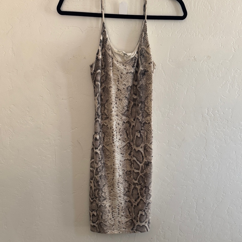 Bear Dance Animal Print Mini Dress
